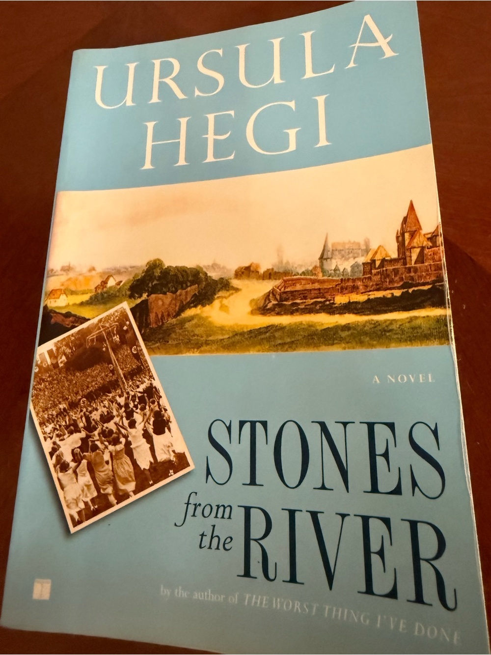 Book - Stones From the River